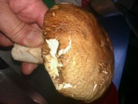 /album/fotogaleria/img-20130729-wa0000-jpg/