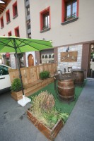 /album/fotogaleria/img-7147-jpg/