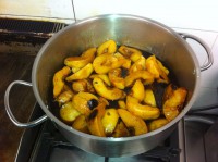 /album/fotogaleria/a2-jpg/