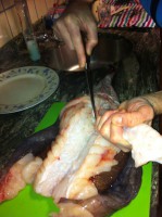 /album/fotogaleria/a37-jpg/