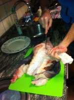 /album/fotogaleria/a38-jpg/